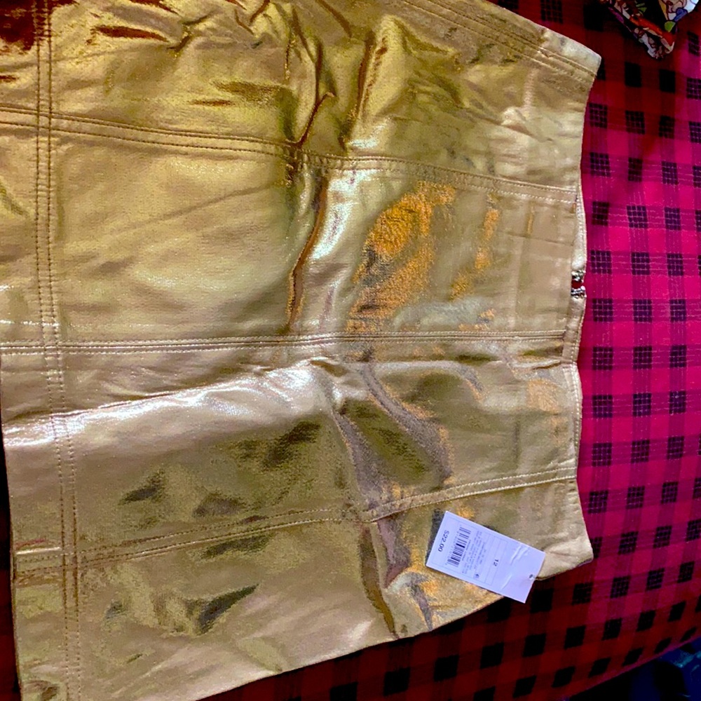 Wild Fable Rose Gold Skirt. New with Tags size 12